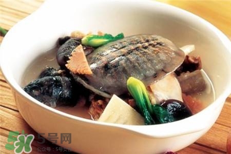 產(chǎn)婦能吃甲魚嗎？產(chǎn)婦能吃甲魚湯嗎？