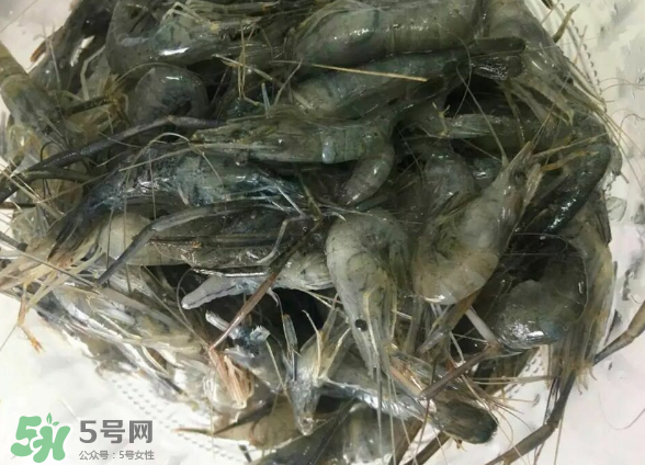 河蝦是基圍蝦嗎？河蝦是辛辣食物嗎？