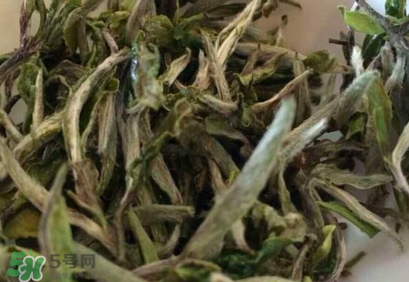 白茶需要洗茶嗎？白茶是洗還是不洗？