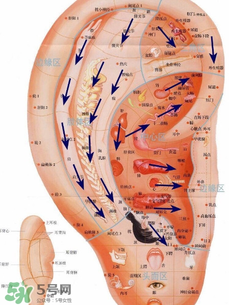 熬夜之后如何補救 熬夜第二天怎么補救