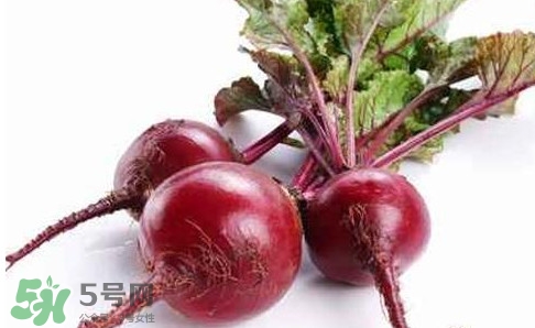 甜菜根是蘿卜嗎？甜菜根是什么菜