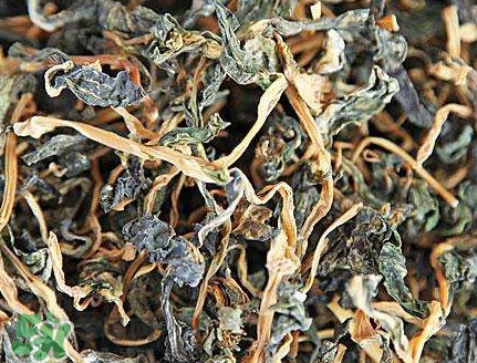 梅干菜是哪里的特產？梅干菜是發(fā)物嗎