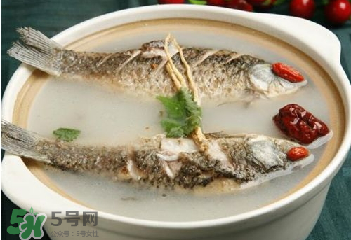 鯽魚湯下奶嗎？鯽魚湯的功效與作用