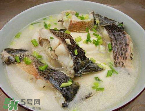 黑魚(yú)湯對(duì)傷口有好處嗎？黑魚(yú)湯的做法術(shù)后恢復(fù)