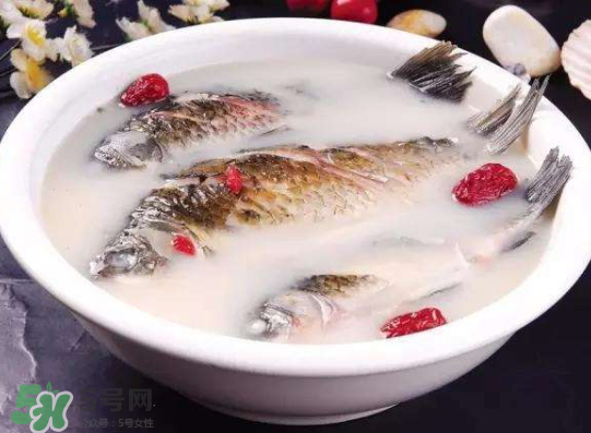 鯽魚湯里可以放什么菜最好？鯽魚燉湯放什么菜？