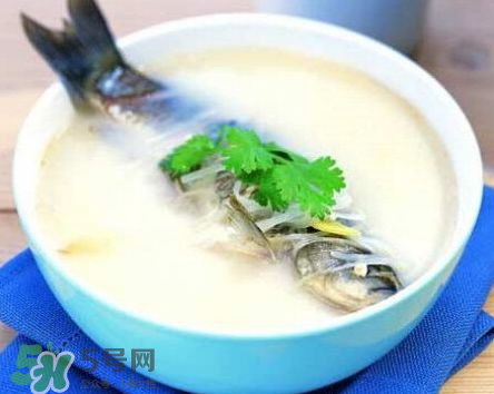 鯽魚湯可以放牛奶嗎？牛奶鯽魚湯的做法