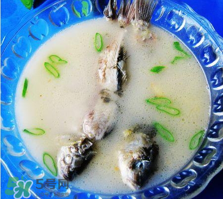 鯽魚湯可以放牛奶嗎？牛奶鯽魚湯的做法