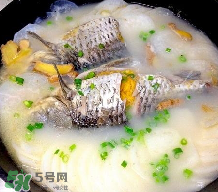 鯽魚湯可以放牛奶嗎？牛奶鯽魚湯的做法