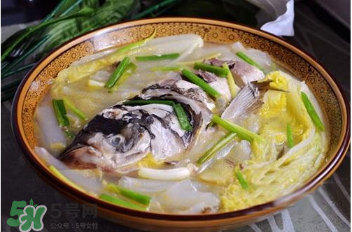 鰱魚(yú)湯怎么熬湯？鰱魚(yú)湯的功效與作用