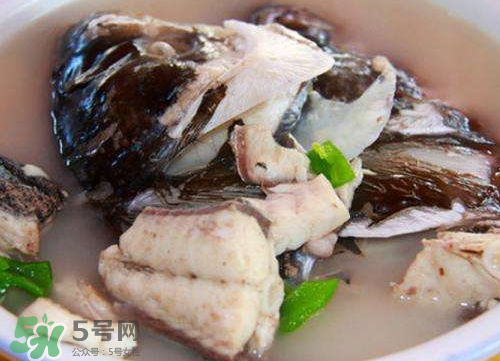 鰱魚(yú)湯怎么熬湯？鰱魚(yú)湯的功效與作用