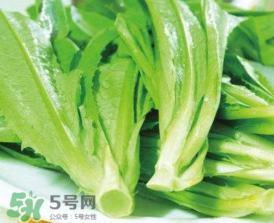 萵苣葉能吃嗎？萵苣葉和油麥菜有什么區(qū)別