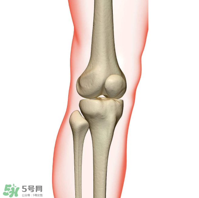 風(fēng)濕不治療可以治愈嗎？早期風(fēng)濕能自愈嗎？