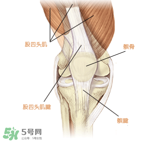 風(fēng)濕可以吃螃蟹嗎？得了風(fēng)濕能吃螃蟹嗎？