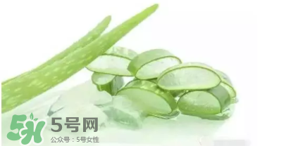 蘆薈怎么吃？蘆薈番茄湯的做法 