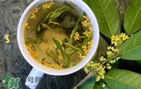 桂花茶怎么泡好喝？桂花茶怎么制作？