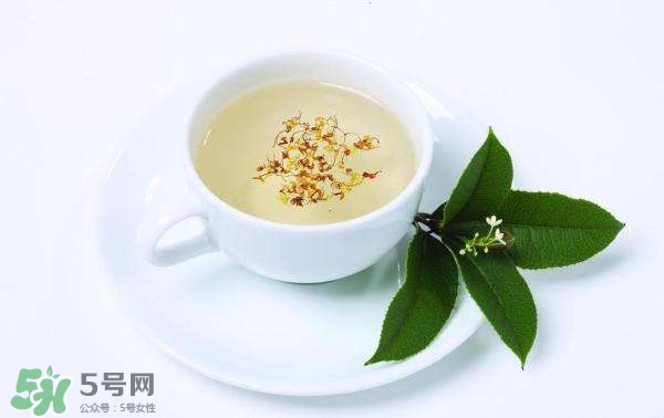 桂花茶怎么泡？桂花茶泡水喝的禁忌 