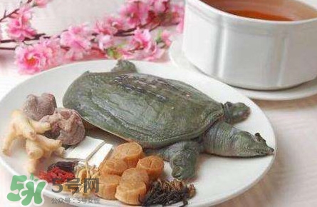 腳魚是什么？腳魚和烏龜?shù)膮^(qū)別