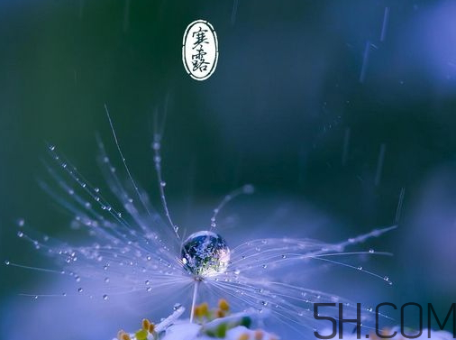 2017年寒露會(huì)下雨嗎？寒露下雨好嗎？