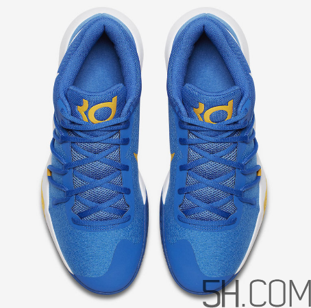 nike kd trey 5 v warriors勇士配色多少錢_在哪買？