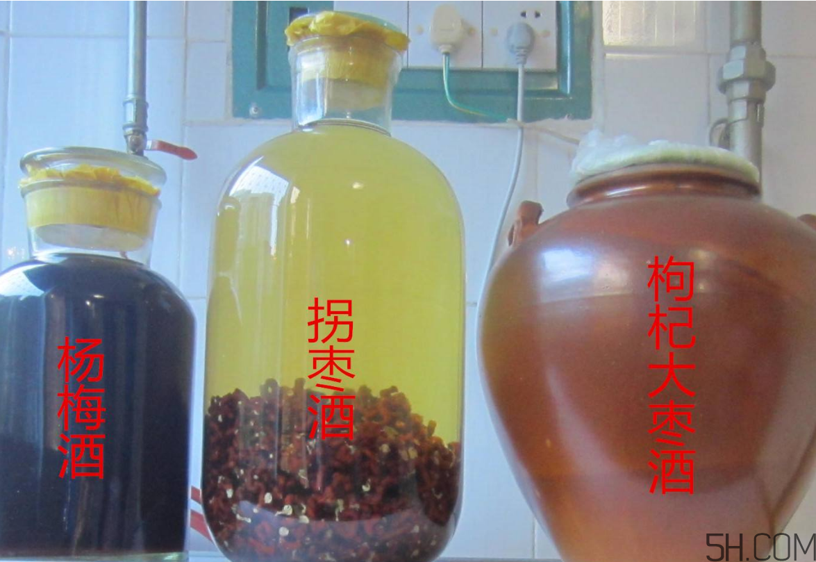 拐棗能泡酒嗎？拐棗能和蜂糖一起泡酒嗎？