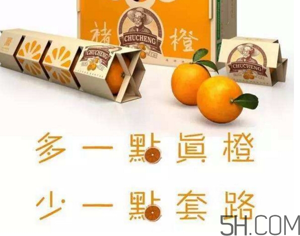 褚橙真的那么好吃嗎？褚橙哪里可以買到