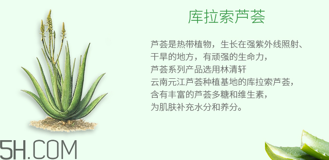 林清軒蘆薈面膜泥怎么樣？林清軒蘆薈面膜泥測(cè)評(píng)