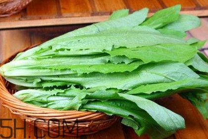 西紅柿和油麥菜能一起吃嗎？油麥菜能包餃子嗎