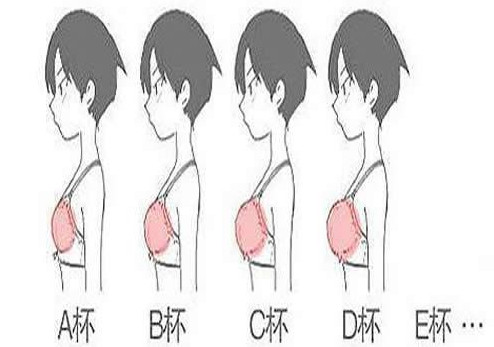 胸貼分大小碼嗎 胸貼罩杯abcd怎么選