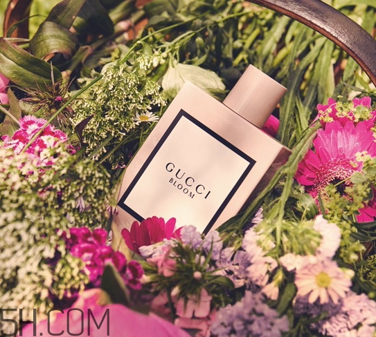 gucci bloom香水多少錢？gucci bloom香水專柜價(jià)格