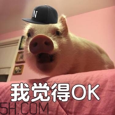 ojbk是什么意思？ojbk表情包