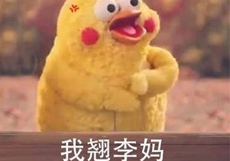 翹李媽什么意思？我翹李媽表情包