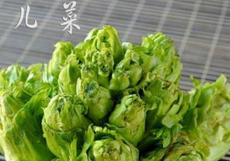 青菜頭是不是兒菜？大頭菜和兒菜的區(qū)別