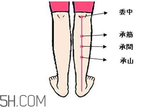 小腿抽筋可以跑步嗎？小腿抽筋可以拔火罐嗎