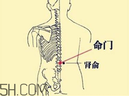 小腿抽筋可以跑步嗎？小腿抽筋可以拔火罐嗎