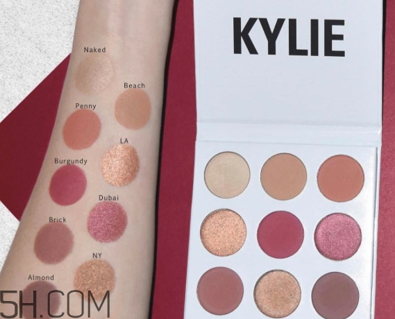 kylie the burgundy9色眼影盤色號_試色圖