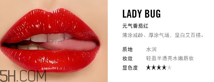 mac ladybug和ruby woo哪個好看_試色對比