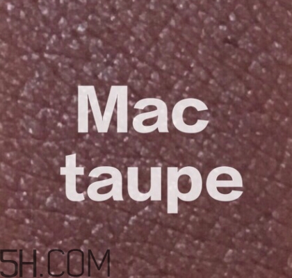 mac mocha和taupe哪個好看？mac mocha和taupe對比試色