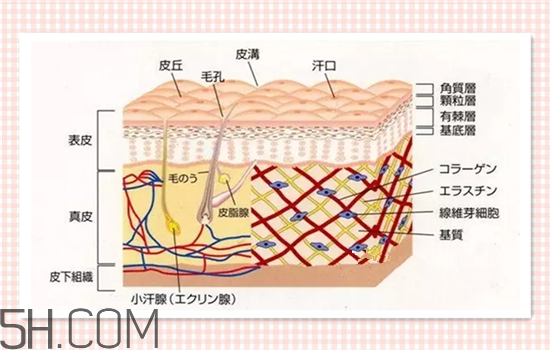 水光針可以祛斑嗎？涂抹式水光針的效果好嗎？