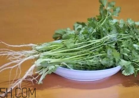 香菜根煮水能減肥嗎？香菜根煮水能天天喝嗎？