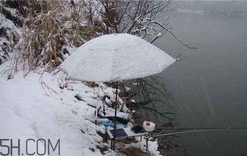 下雪天能釣魚嗎 下雪天好釣魚嗎