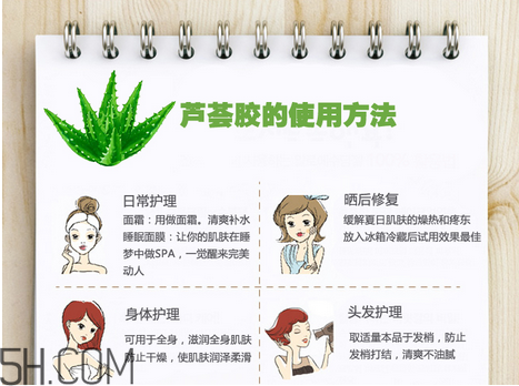 蘆薈膠的功效和作用有哪些？教你蘆薈膠的正確使用方法