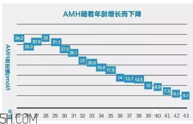 AMH檢查是什么？快速檢測卵巢是否適合懷孕