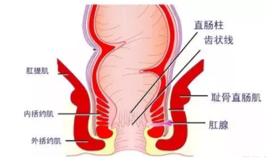 肛瘺非手術(shù)治療才可以嗎？手術(shù)是治療的關(guān)鍵途徑