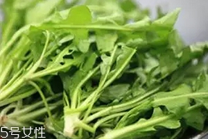 經(jīng)常用眼吃什么？多吃綠色和黃色食物