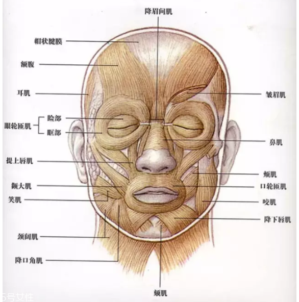 法令紋怎么去除？最有效的方法是醫(yī)美