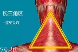 人體黃金三角區(qū)有哪些？養(yǎng)好了百病不擾