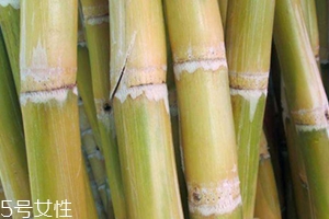 甘蔗吃多了對(duì)牙齒好嗎？有可能損傷牙齒