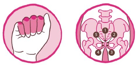 子宮寒調理試試骨氣療法