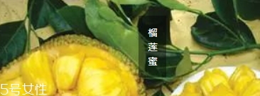 榴蓮蜜哪里能吃？哪里不能吃