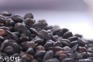 黑苦蕎茶上火嗎？蒸煮法苦蕎茶不上火